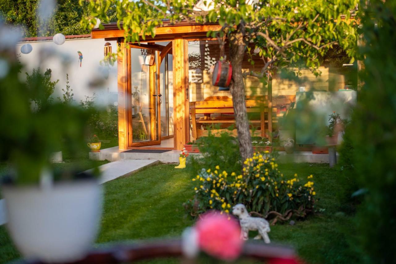 Guest House Vasilena Сапарева-Баня Экстерьер фото