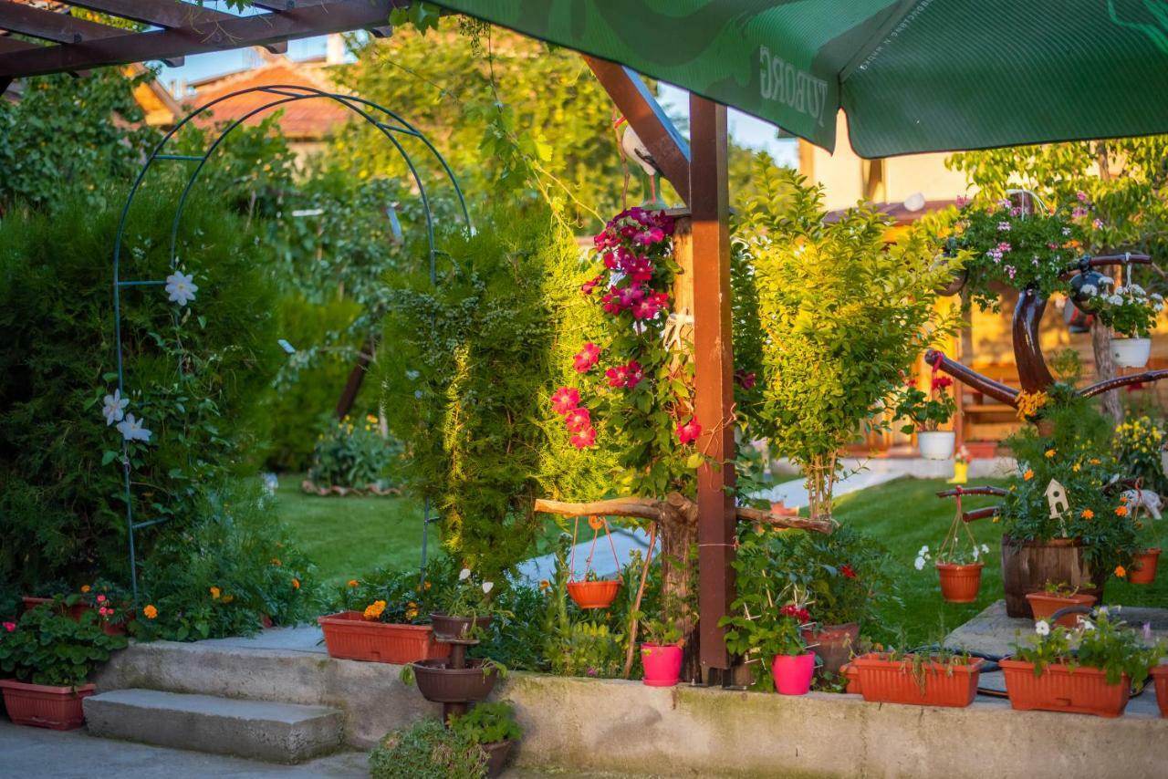 Guest House Vasilena Сапарева-Баня Экстерьер фото