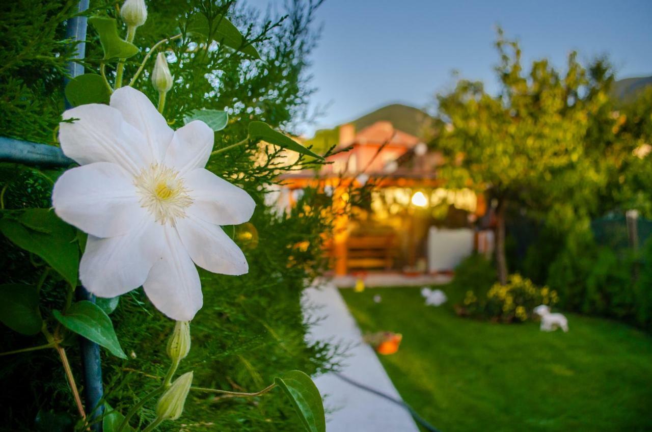 Guest House Vasilena Сапарева-Баня Экстерьер фото